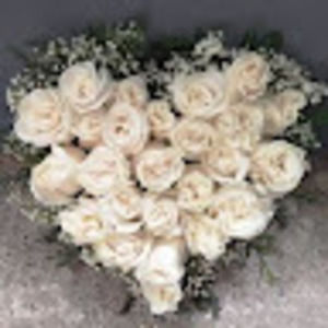 Meet your Posher, Hotot